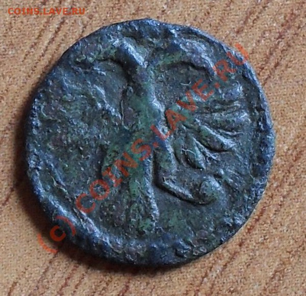 деньга 1707, полушка 1719 - SDC11375.JPG