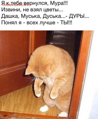 юмор - image