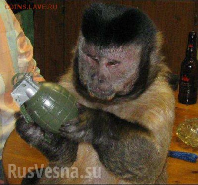 Ну а теперь про Украину - makaka_0