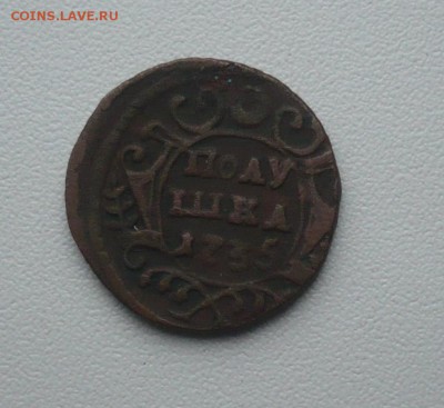 Полушка 1735 год оценка - P1050743 ок.JPG