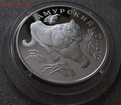 Красная книга 1993 года до 04.02. 22:00 - тигр1