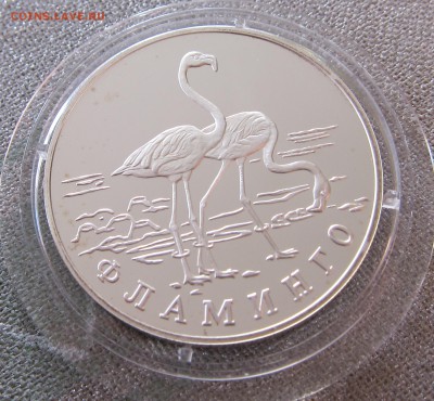 Красная книга  1997 года Фламинго до 04.02. 22:00 - 1