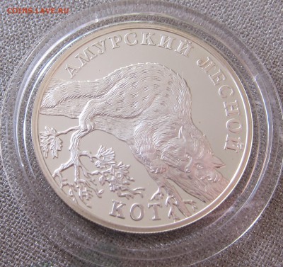 Красная книга  2004 года Амурский лесной кот до 04.02. 22:00 - 3