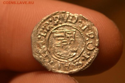 Денар 1598.Рудольф II 1576-1608 М.д- Кремнитц. Серебро - CSC_0297 (3).JPG