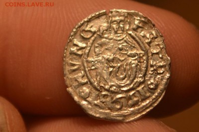 Денар 1598.Рудольф II 1576-1608 М.д- Кремнитц. Серебро - CSC_0298 (3).JPG