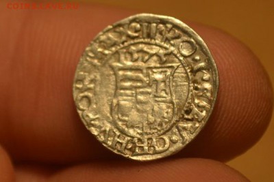 Денар 1575.Максимилиан II 1564-1576 М.д- Кремнитц. Серебро. - CSC_0269.JPG