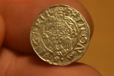 Денар 1575.Максимилиан II 1564-1576 М.д- Кремнитц. Серебро. - CSC_0270.JPG