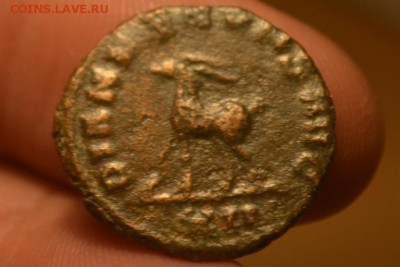 Рим.Галлиен римский император 253 — 268 - CSC_0304.JPG