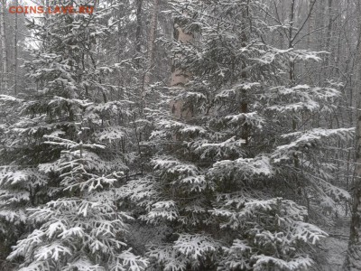 Покопушки от Русланыча . - 2939292