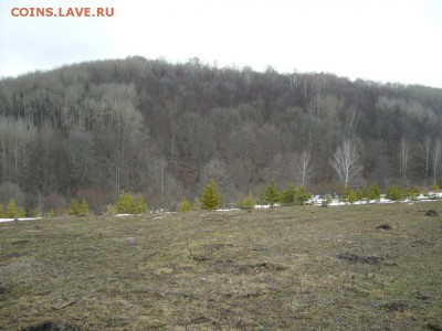 Покопушки от Русланыча . - 3302264