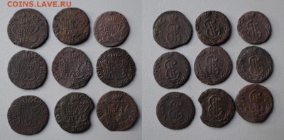 9 СИБИРСКИХ полушек !! до 04.02.2015 в 22:00 - DSC01297.JPG