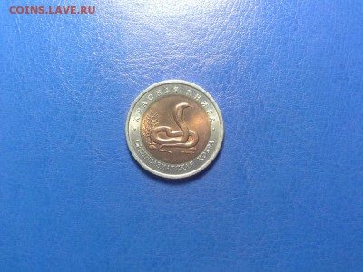 КК 92 кобра с небольшим смещением вставки до 04.02 22-22 - IMG_0024.JPG