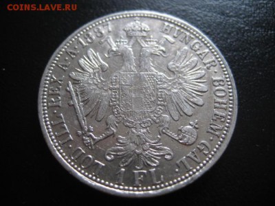 1887 Австрия, 1 Fl, серебро, до 09.02 в 22-15 мск - IMG_3648.JPG