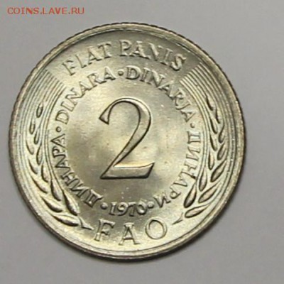 Югославия FAO 1976 5и2 динар коллекционная упаковка до 05.02 - IMG_2891.JPG