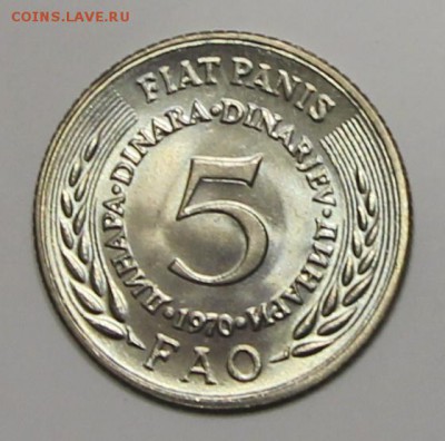 Югославия FAO 1976 5и2 динар коллекционная упаковка до 05.02 - IMG_2889.JPG