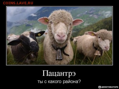 Что будет дальше с нашим "деревянным" (рублем)? - 1342884449-pacantrye