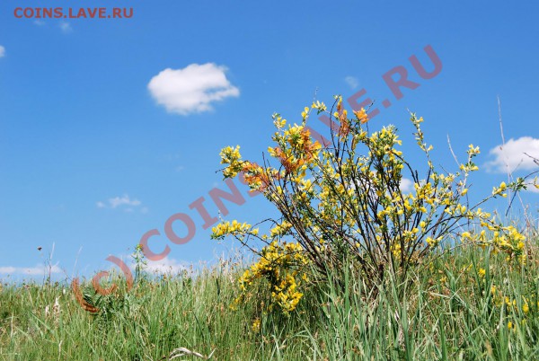 ФОТООТЧЕТЫ ПО ВЫЕЗДАМ 2010г. - к3