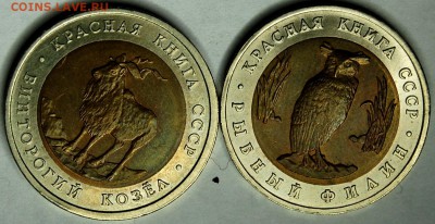 Красная книга 1991, до 09.02.15 22-00 - DSC_5169.JPG