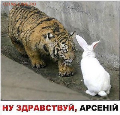 Ну а теперь про Украину - rfsref