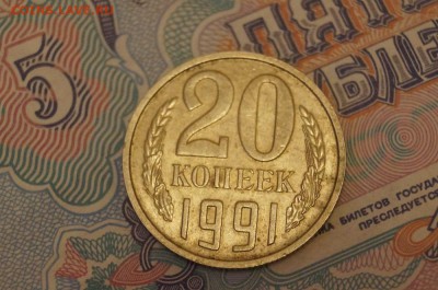 20 копеек 1991г. Без буквы. - DSC08791.JPG