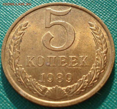 5 копеек 1982 и 1989 аUNC СССР до 22:00 07.02.15 - DSC02425.JPG