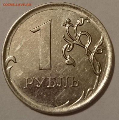 №6 - 3.JPG