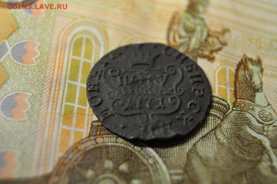 Полушка сибирь 1771г до 12 февраля - DSC_0077.JPG
