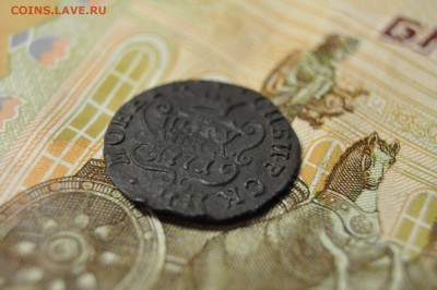 Полушка сибирь 1771г до 12 февраля - DSC_0084.JPG