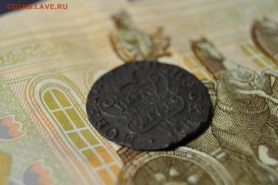 Полушка сибирь 1771г до 12 февраля - DSC_0085.JPG