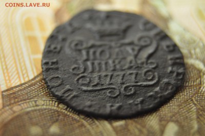 Полушка сибирь 1777г до 12 февраля - DSC_0008.JPG