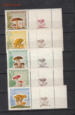 марки СССР чистые грибы с купонами 1964 - 258