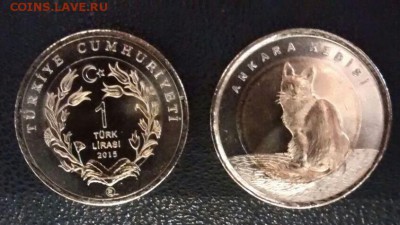 1 лира Турция 2015 Овца и Кошка UNC-Новинка - 420р за компле - IMG-20150206-WA0021