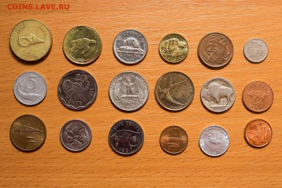 Нужен БИМ и СССР - выгодный обмен! - REP_6799