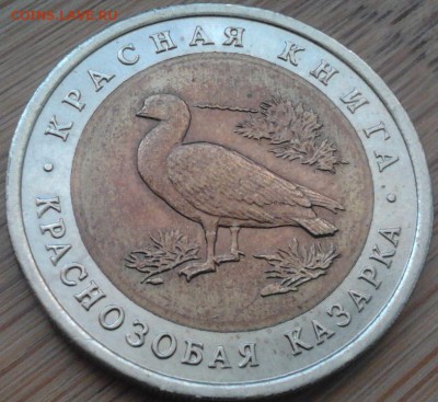 КК 10 руб 1992 Краснозобая казарка до 13.02.2015 в 22:00 МСК - 325