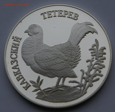 1 руб 1995 год Кавказский тетерев - DSC05387.JPG