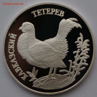1 руб 1995 год Кавказский тетерев - DSC05389.JPG