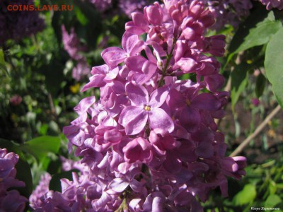 делает - прямо сейчас !!! - 462719516