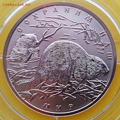 100р золото Бобр АЦ - бобр1