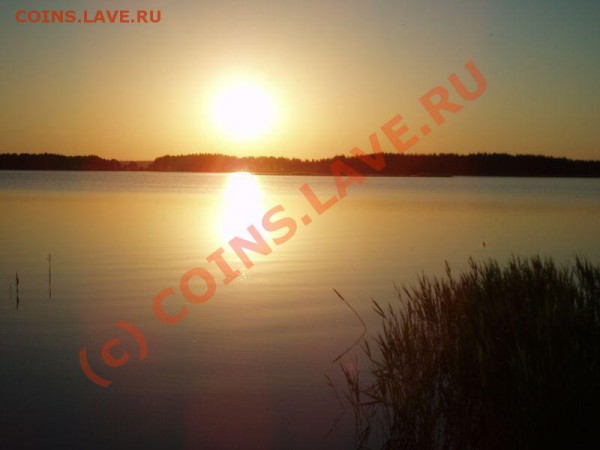 ФОТО - просто фото. Те что получились удачными. - 1
