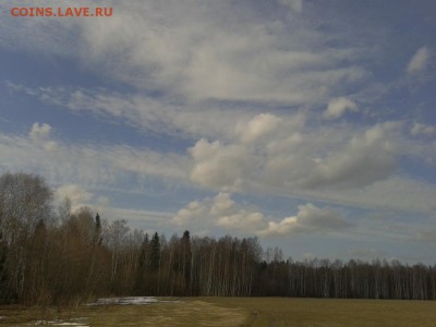 Покопушки от Русланыча . - 3365538