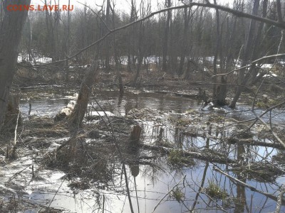 Покопушки от Русланыча . - 3357346