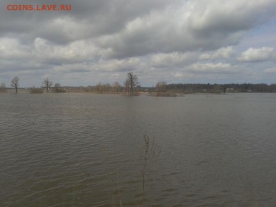 Покопушки от Русланыча . - 3545338