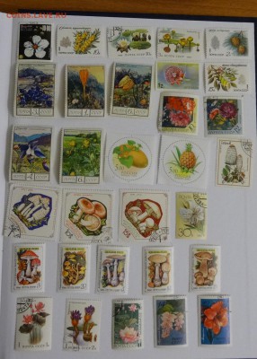 Марки мира (Флора, грибы), чистые и гашеные - DSC04045.JPG