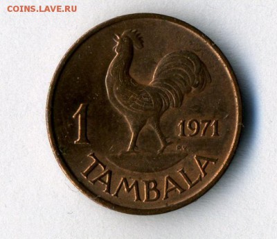 Малави 1 тамбала 1971   до 13.02.15.--- в 22-00 - img077 - копия (3) - копия - копия - копия