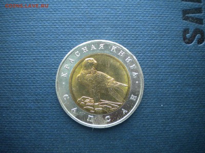 кк 50р 1994г сапсан с 200р до 16.02.15. до 22.00 мск - DSCN2872.JPG