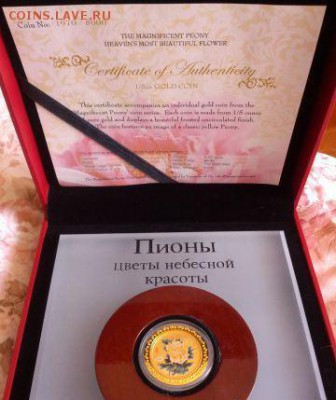 Жёлтый тюльпан, острова кука - 653765