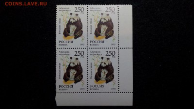 Фауна лот№2 Панды. Россия 1993 квартблок - IMG_20150211_005312