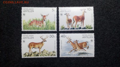 Фауна лот№3 Нидерланды Antillen WWF полная серия. MNH - IMG_20150211_010232