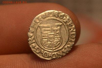 Денар 1546 Фердинанд I 1526 - 1564 - CSC_0348.JPG