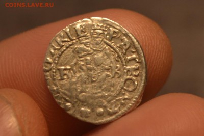 Денар 1568.Максимилиан II 1564-1576 - CSC_0350.JPG